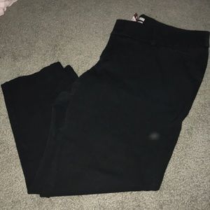 Dress pants